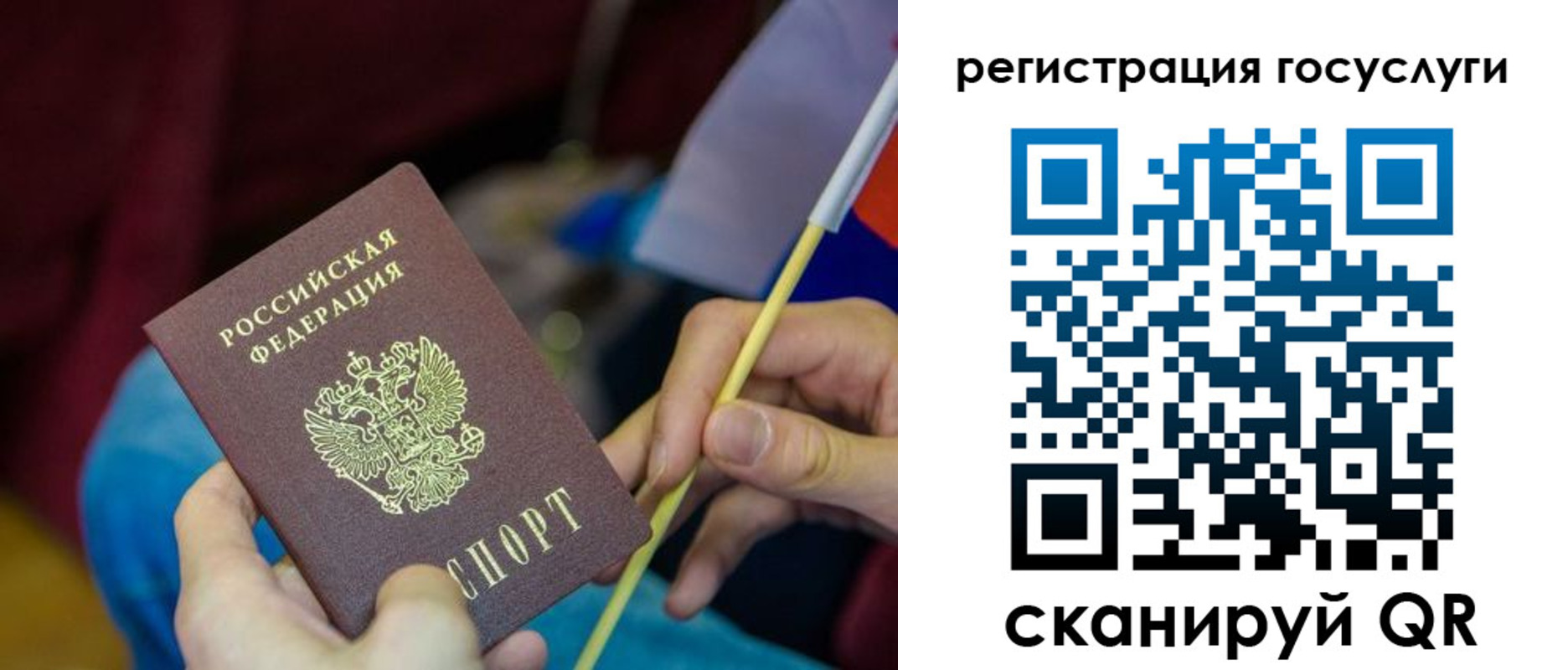 временная регистрация адрес в Курской области